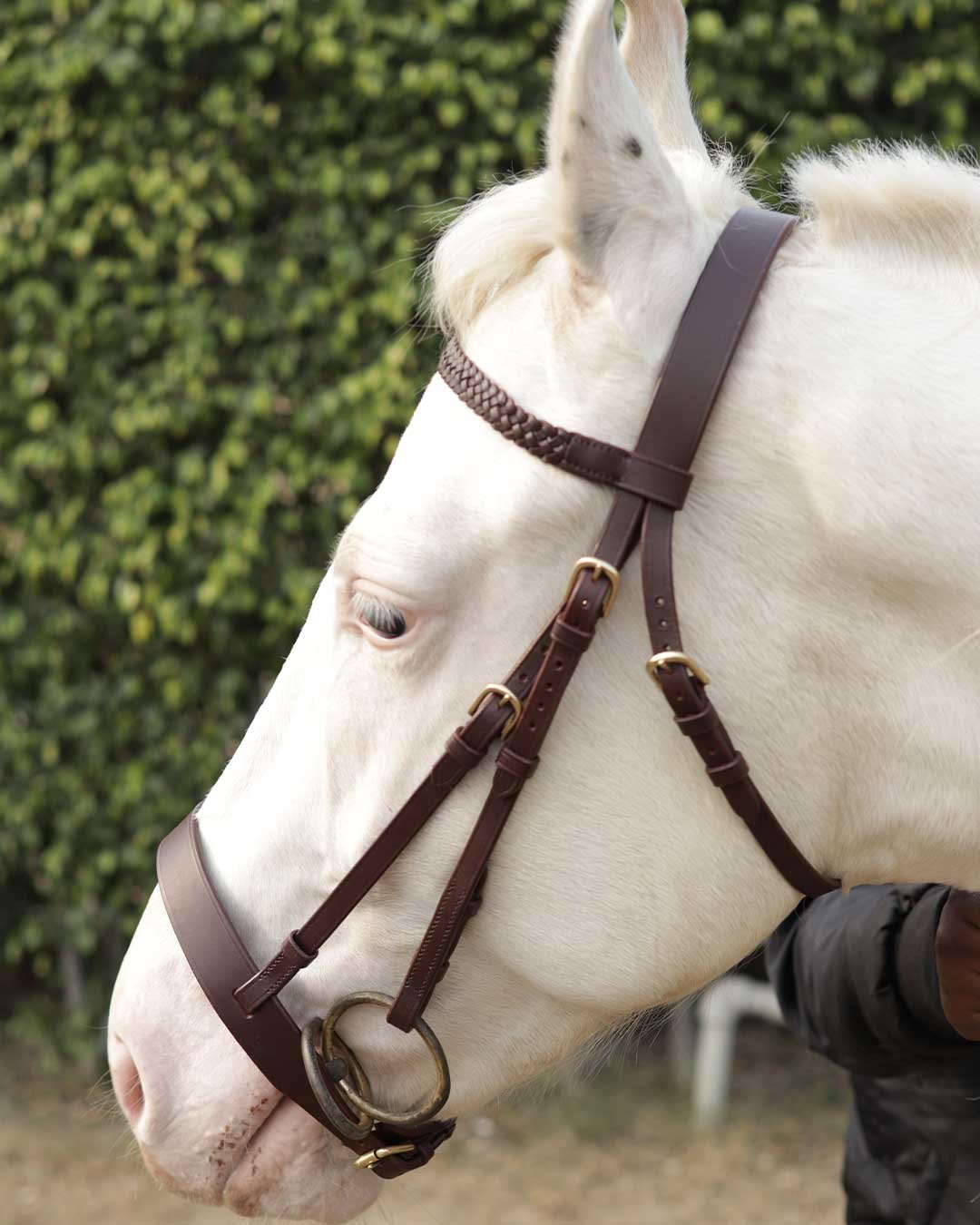 Leather hunt cavesson bridle including reins - Image 5