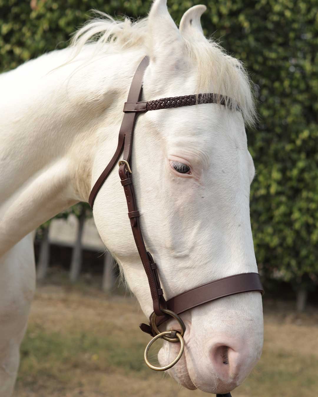 Leather hunt cavesson bridle including reins - Image 7