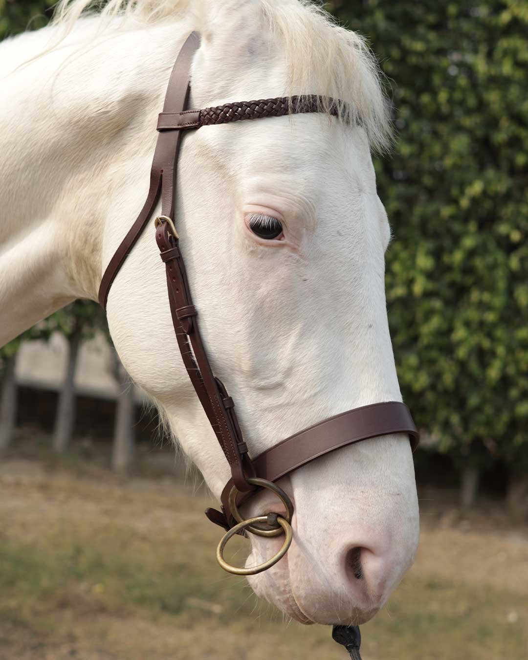 Leather hunt cavesson bridle including reins - Image 6