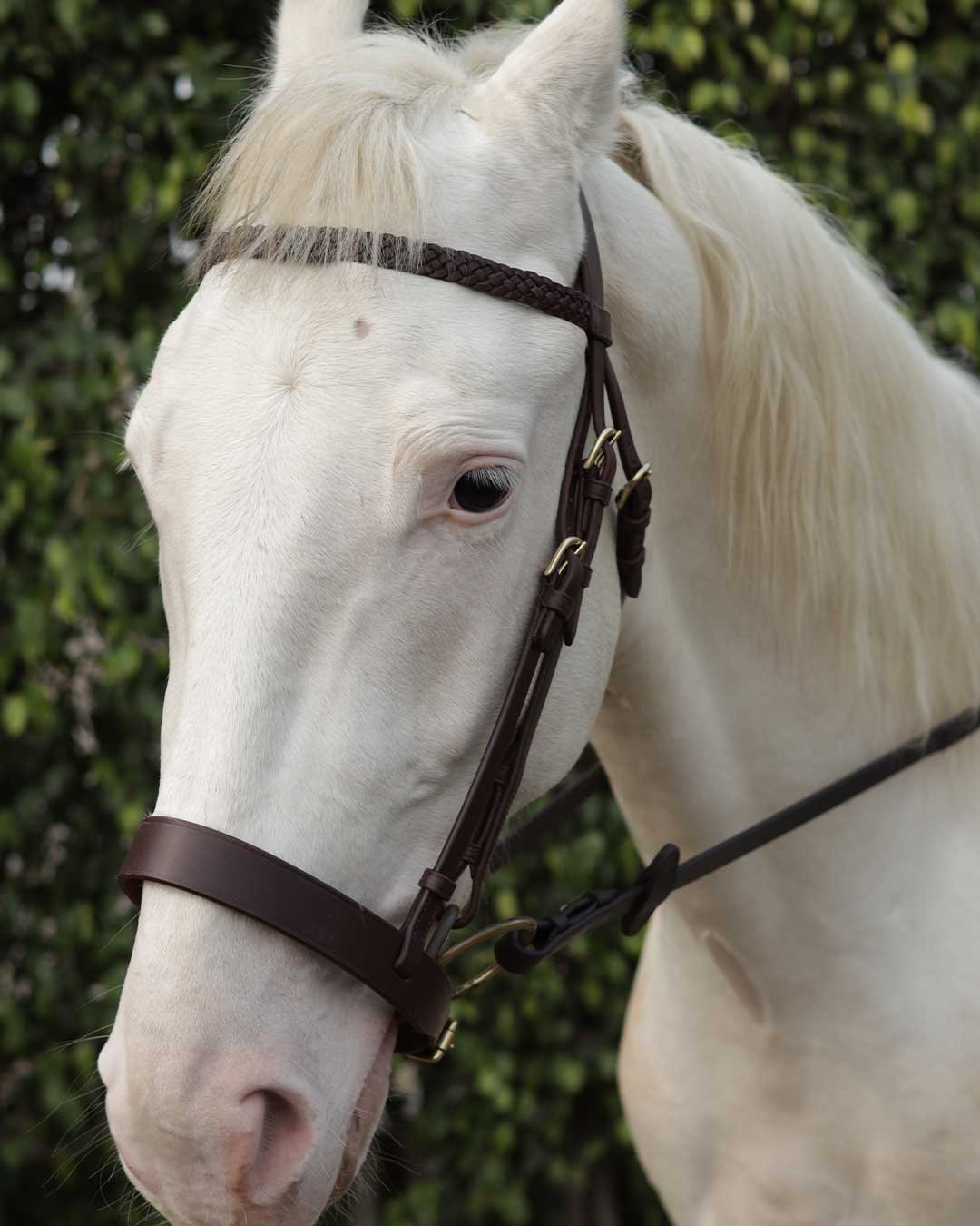 Leather hunt cavesson bridle including reins - Image 4