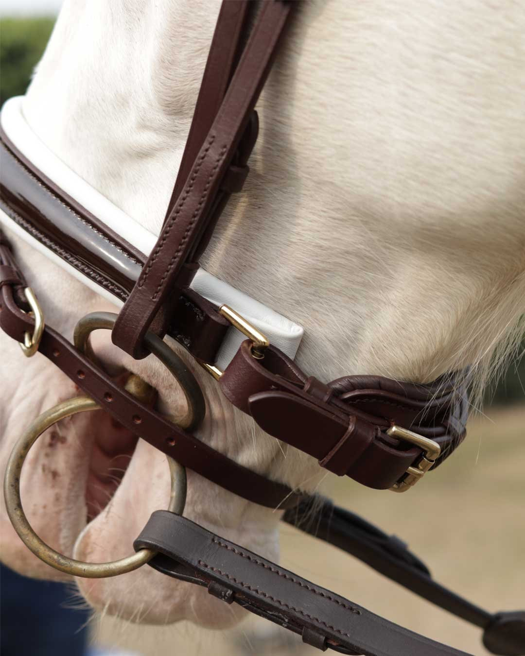 Soft leather comfort padded flash bridle dressage - Image 9