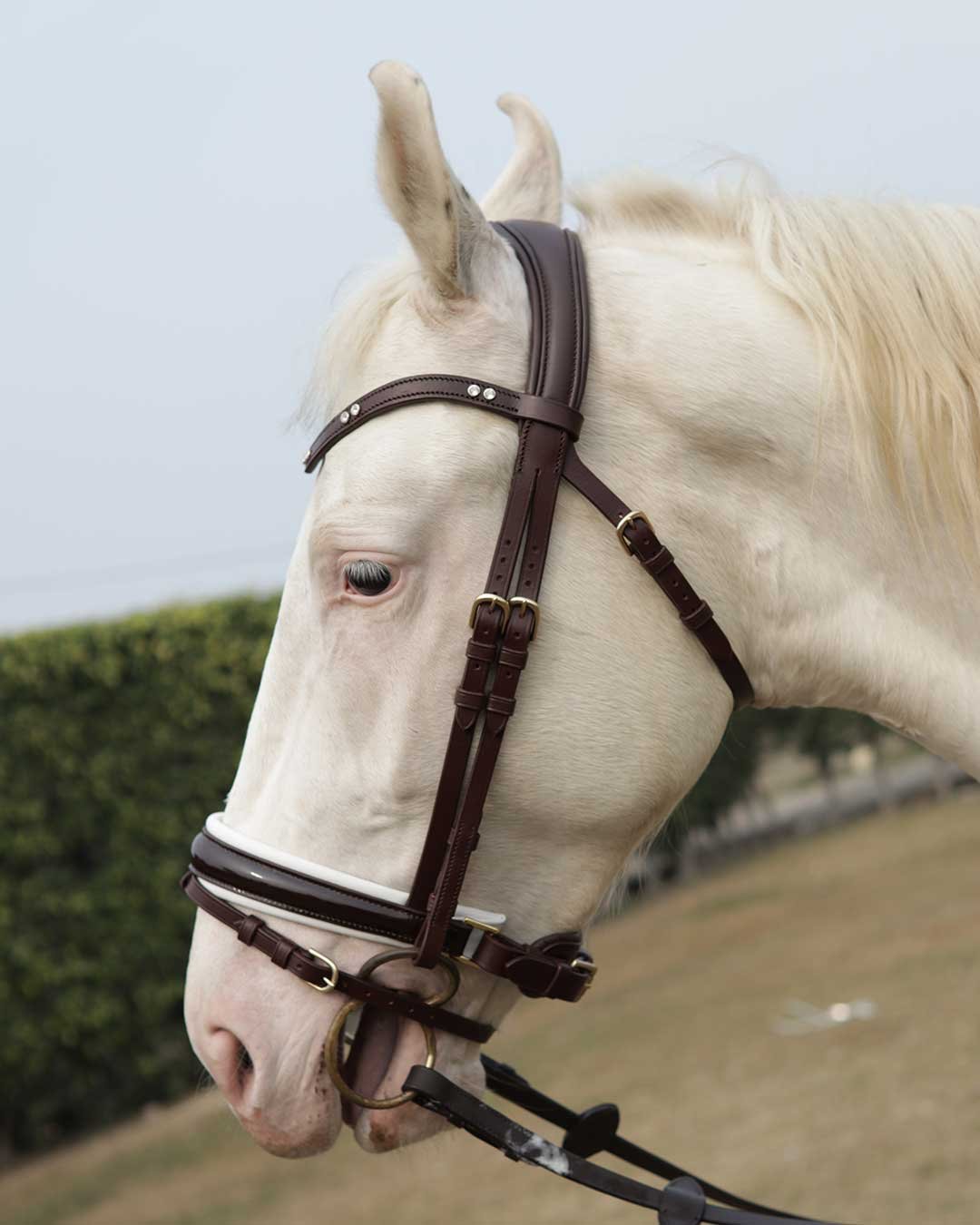 Soft leather comfort padded flash bridle dressage - Image 8