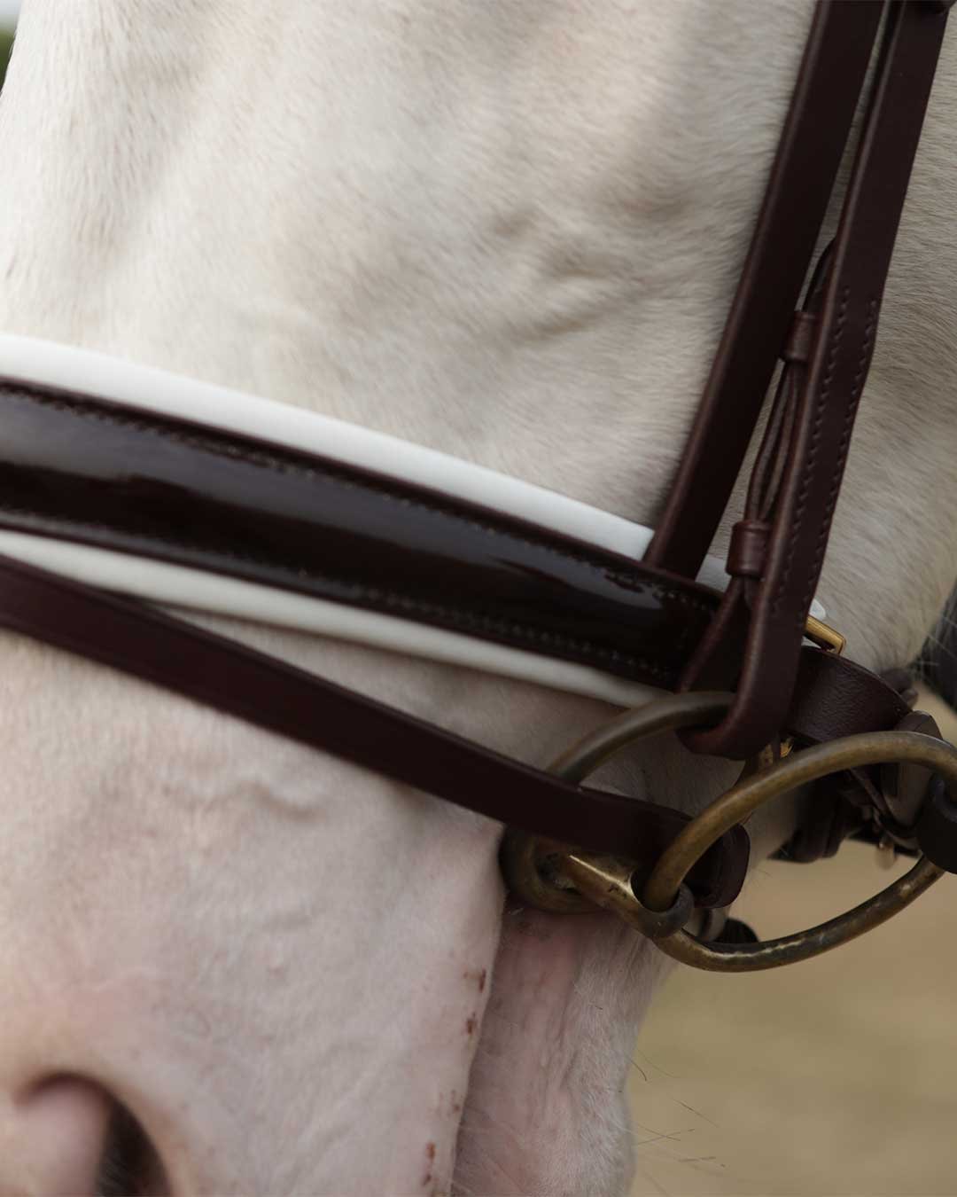 Soft leather comfort padded flash bridle dressage - Image 5