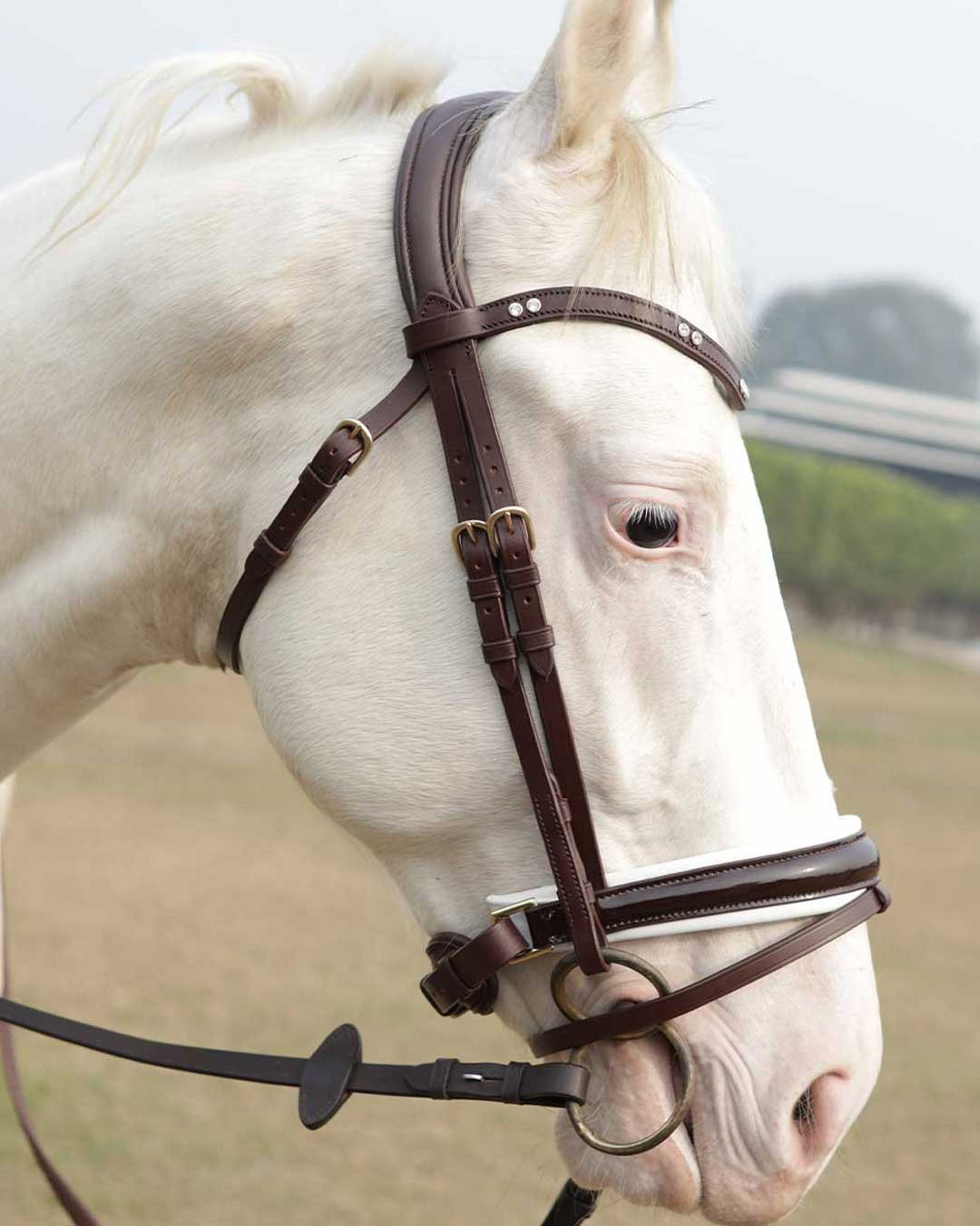 Soft leather comfort padded flash bridle dressage - Image 4